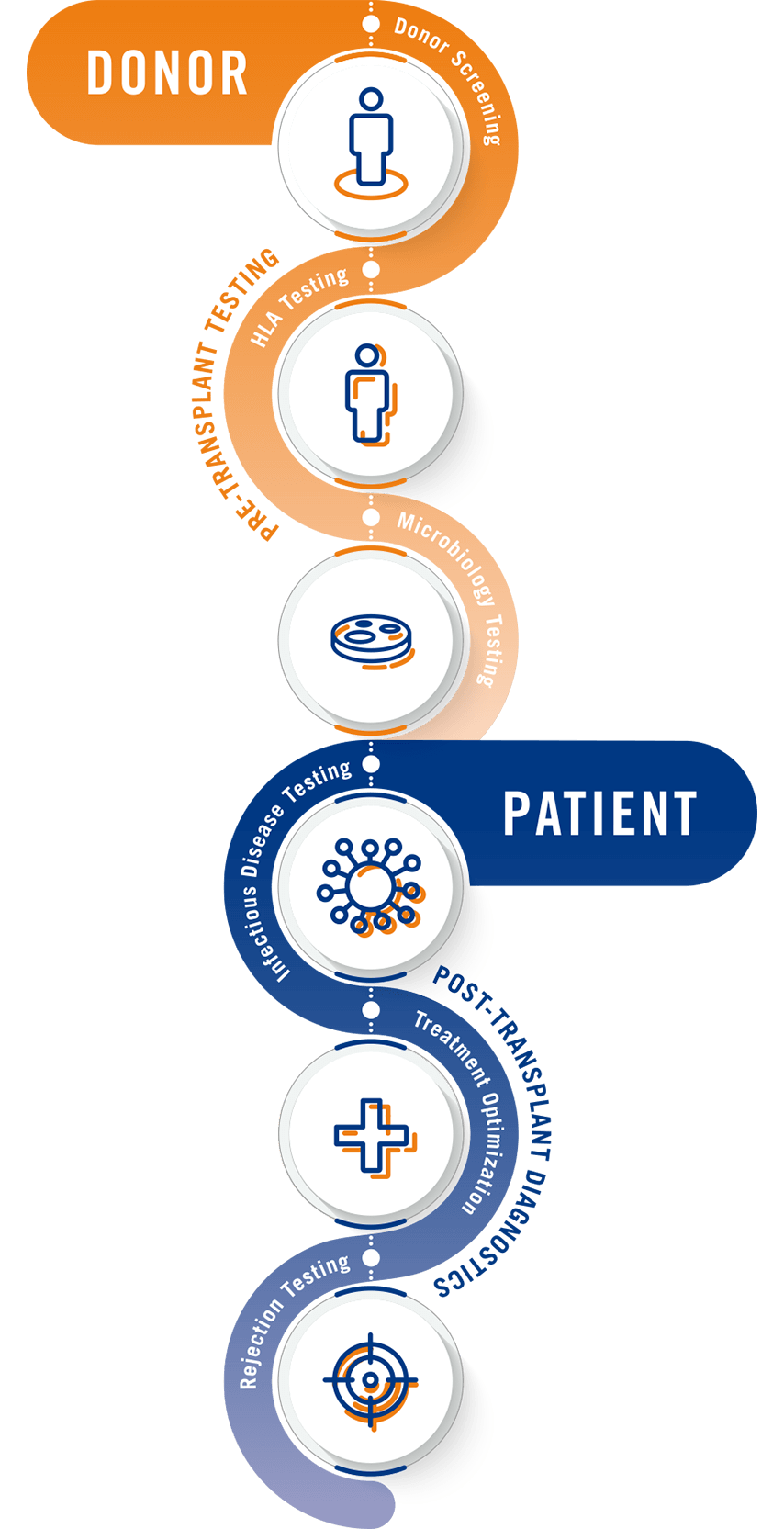 A snaking orange and blue infographic depicts the breadth of services spanning the full transplant journey that Eurofins Transplant Diagnostics provides.